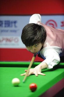 关联度显著 关联度显著